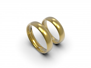wedding rings one stone 3D Print Model