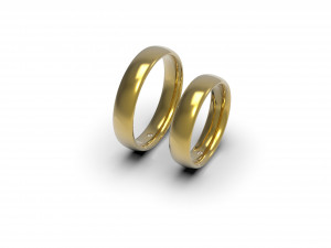 wedding rings one stone 3D Print Model