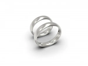 结婚戒指一石 3D 打印模型