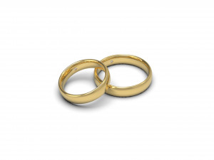 wedding rings one stone 3D Print Model