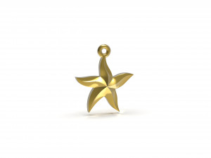 starfish 3D Print Model