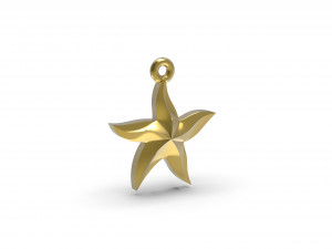 starfish 3D 打印模型