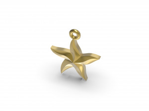 starfish 3D 打印模型