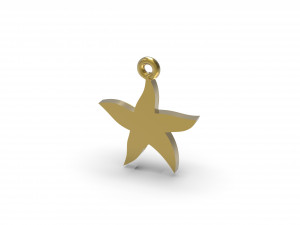 starfish 3D 打印模型