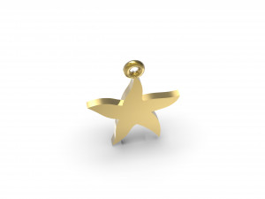 starfish 3D 打印模型