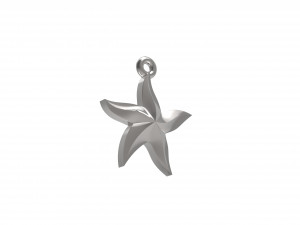 starfish 3D 打印模型