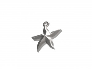 starfish 3D 打印模型