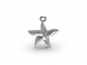 starfish 3D 打印模型