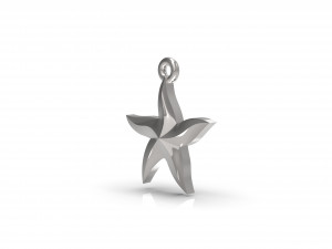 starfish 3D 打印模型