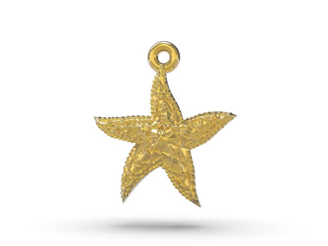 beautiful sea star 3D Print Model .c4d .max .obj .3ds .fbx .stl .blend 