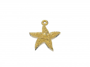 beautiful sea star 3D Print Model