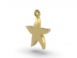 beautiful sea star 3D Print Model