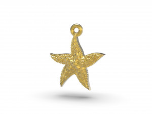 beautiful sea star 3D Print Model