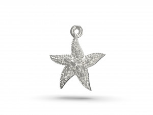 beautiful sea star 3D Print Model