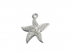 beautiful sea star 3D Print Model