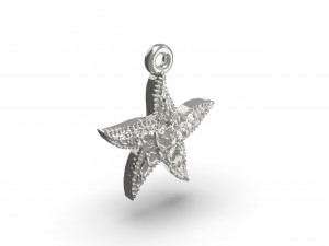 beautiful sea star 3D Print Model