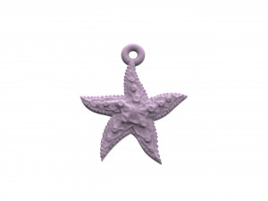 beautiful sea star 3D Print Model