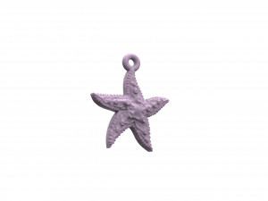 beautiful sea star 3D Print Model