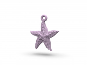 beautiful sea star 3D Print Model