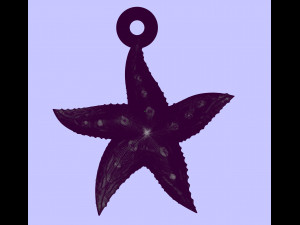 beautiful sea star 3D Print Model