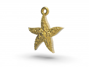 beautiful sea star 3D Print Model