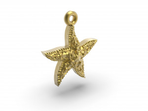 beautiful sea star 3D Print Model