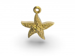 beautiful sea star 3D Print Model