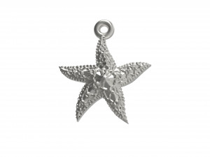 beautiful sea star 3D Print Model