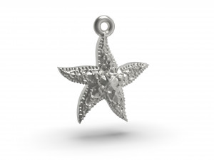 beautiful sea star 3D Print Model