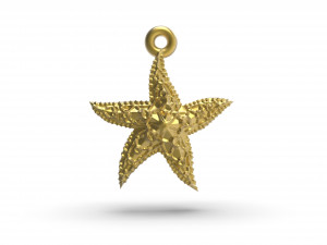 beautiful sea star 3D Print Model