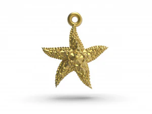 美丽的海星 3D 打印模型