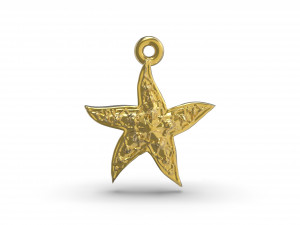 wonderful starfish 3D प्रिंट मॉडल