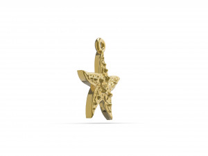 wonderful starfish 3D प्रिंट मॉडल