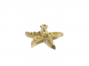 wonderful starfish 3D प्रिंट मॉडल