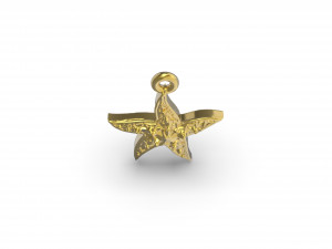 wonderful starfish 3D प्रिंट मॉडल