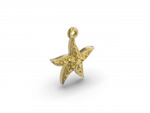 wonderful starfish 3D प्रिंट मॉडल