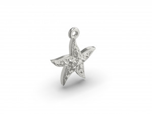 wonderful starfish 3D प्रिंट मॉडल
