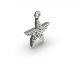 wonderful starfish 3D प्रिंट मॉडल