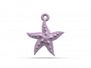 wonderful starfish 3D प्रिंट मॉडल