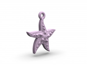 wonderful starfish 3D प्रिंट मॉडल