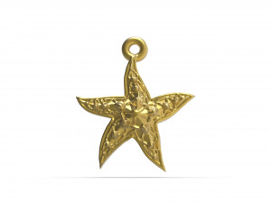 wonderful starfish 3D Print Model