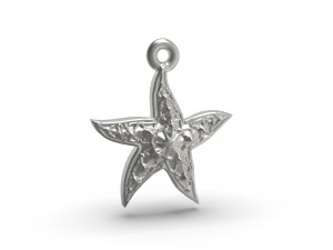 wonderful starfish 3D प्रिंट मॉडल