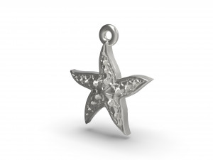 wonderful starfish 3D प्रिंट मॉडल