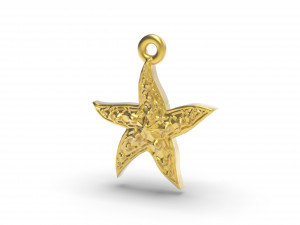 wonderful starfish 3D प्रिंट मॉडल