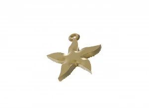 starfish dotted 3D Print Model