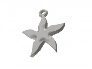 海星很棒 3D 打印模型