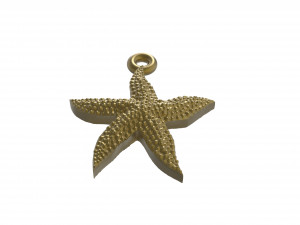 starfish superb Model Cetak 3D