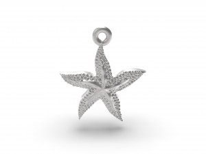 excellent starfish 3D 打印模型