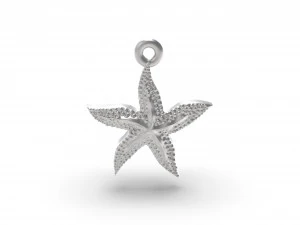 优秀的海星 3D 打印模型