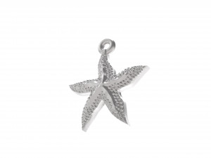 excellent starfish 3D 打印模型